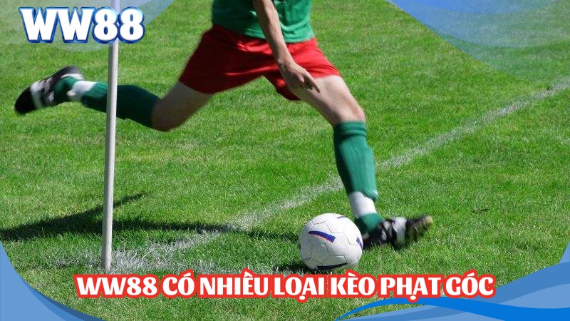 Kèo Phạt Góc - Hướng Dẫn Cách Đọc Và Cược Kèo Chuẩn 2 WW88 có nhiều loại Kèo phạt góc